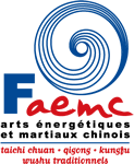 logo ffaemc